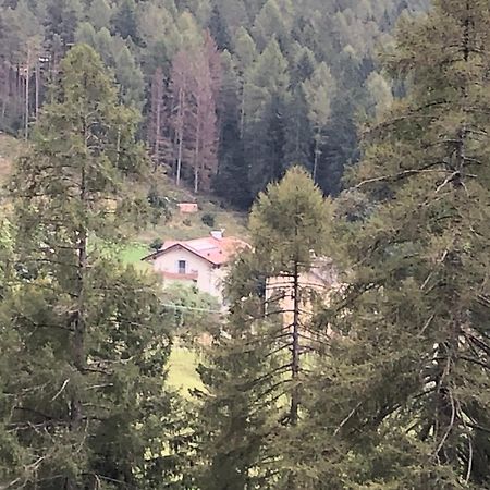 טזרו B&B Le Stagioni Di Stava מראה חיצוני תמונה