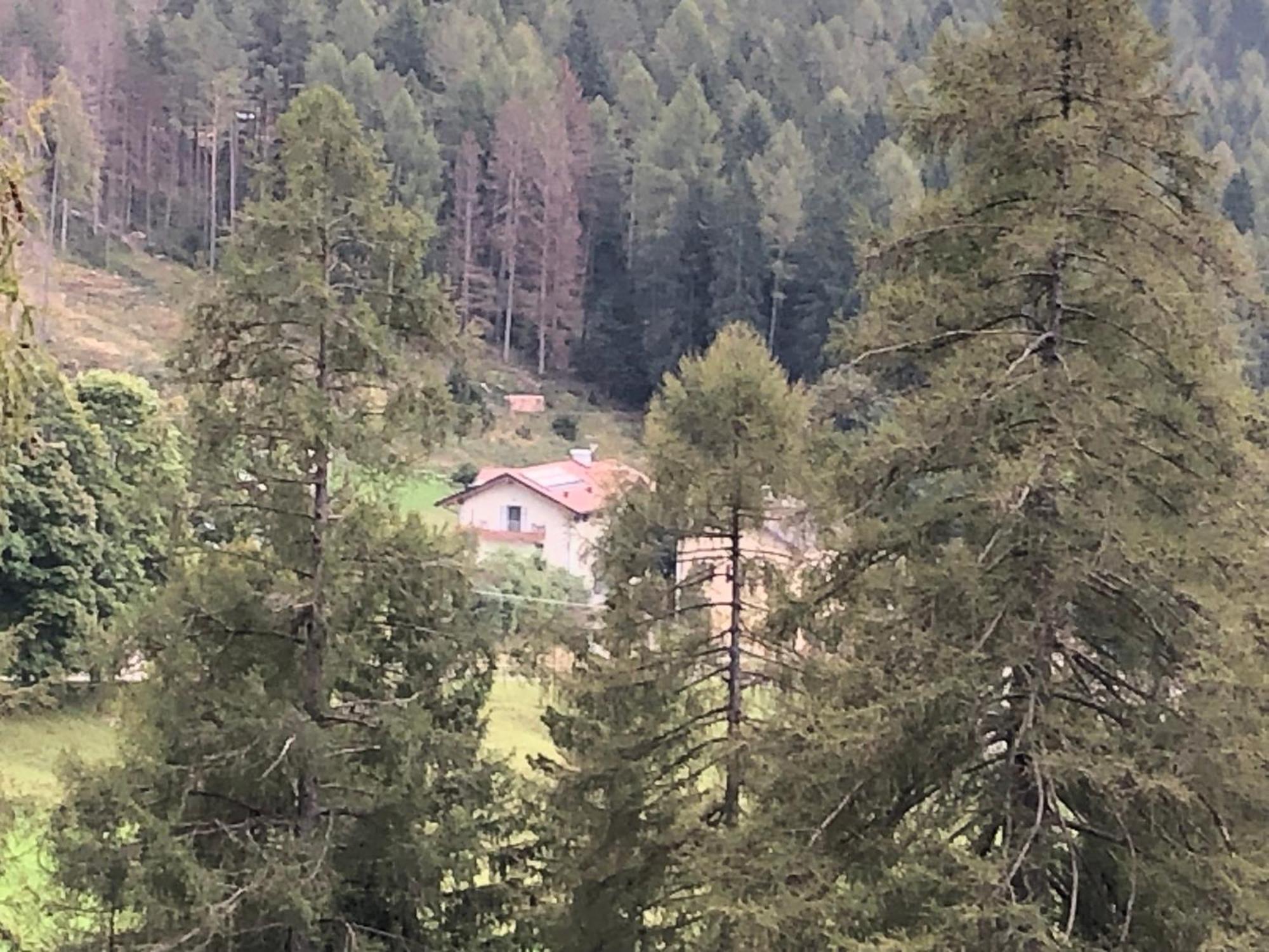 טזרו B&B Le Stagioni Di Stava מראה חיצוני תמונה